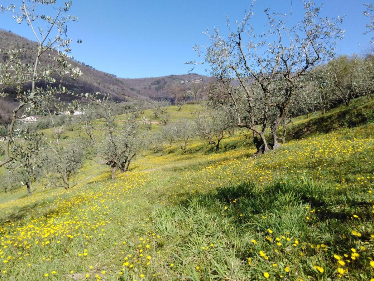 Agriturismo Terrarossa Pistoia Exterior foto