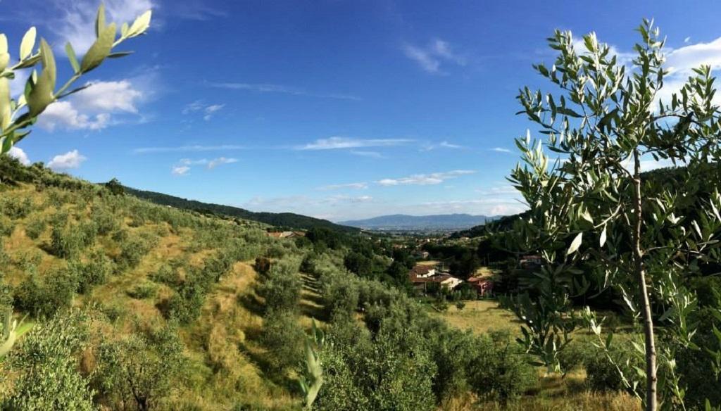 Agriturismo Terrarossa Pistoia Exterior foto